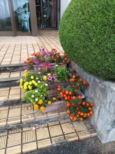 朝日少年自然の家5