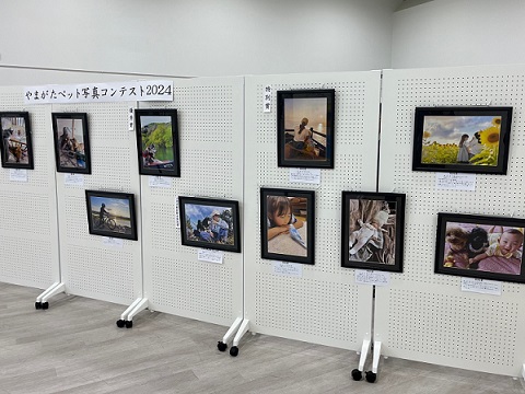 ペット写真コンテスト展示