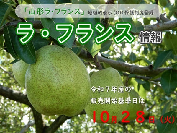 ラ・フランス情報へのリンク