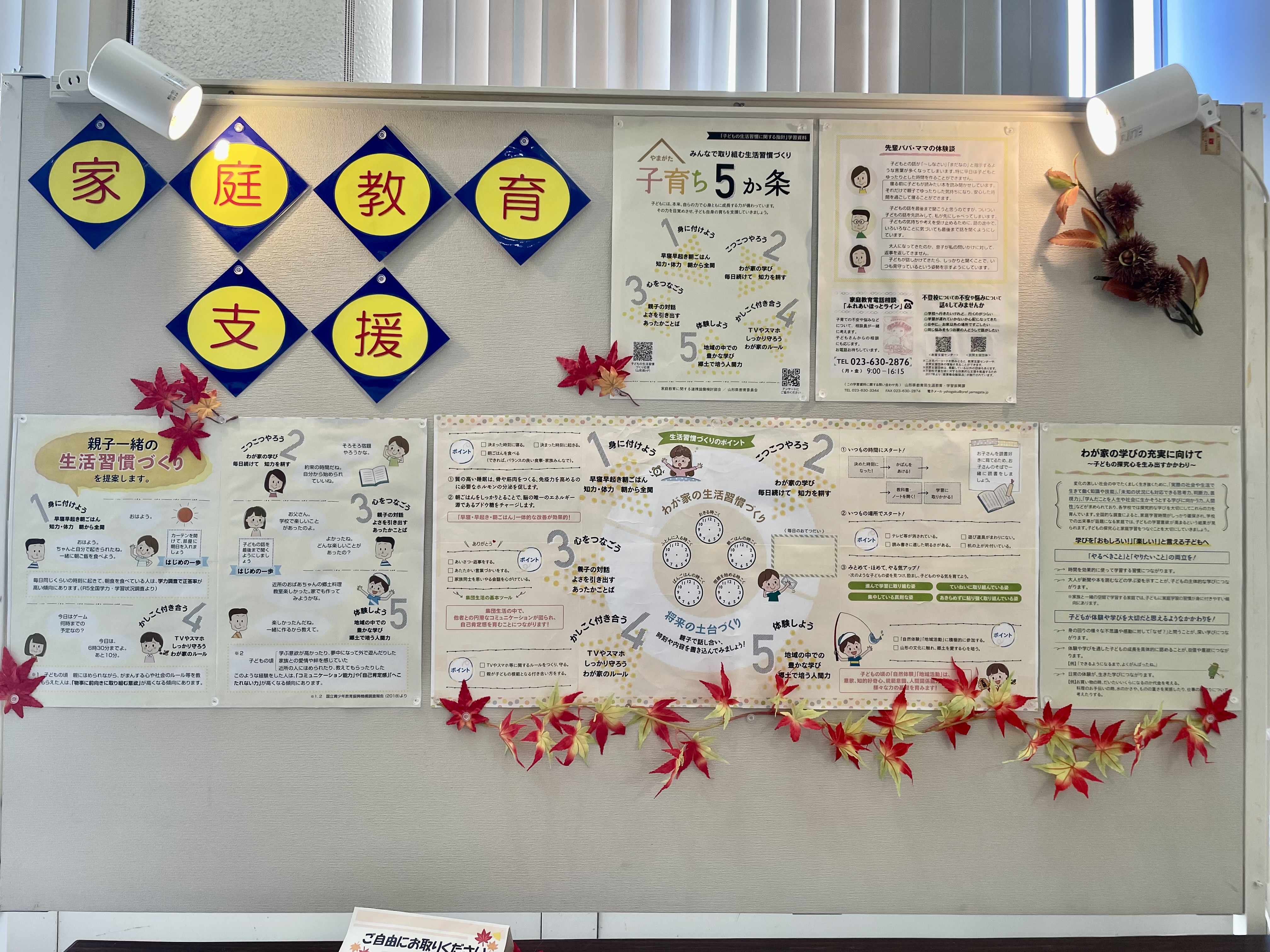 kyouikuseisakusyougaikyouiku1